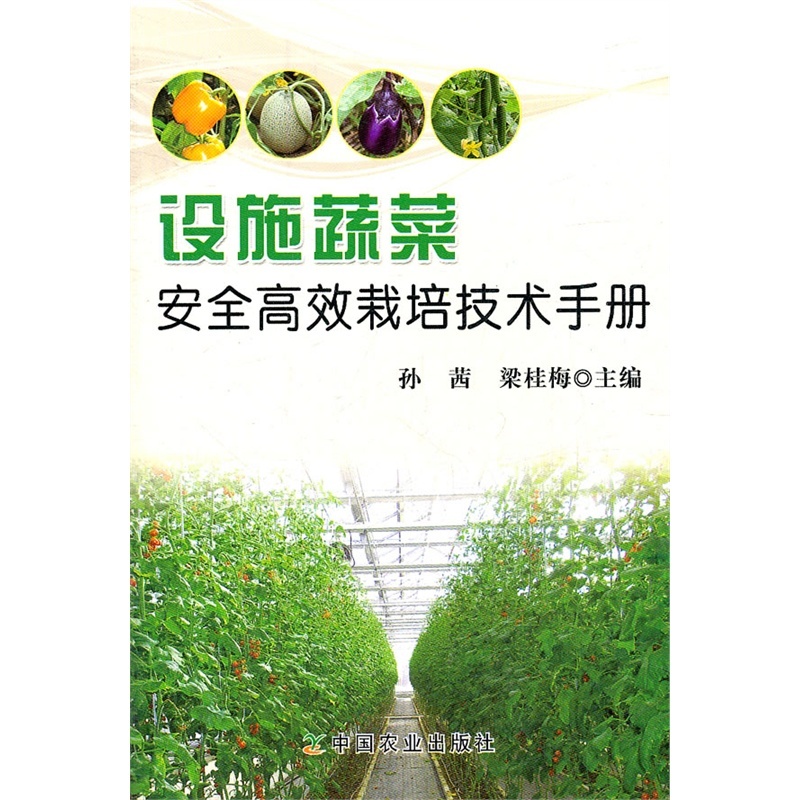 如何选择湛江支付公司?”,一份全面的选购指南